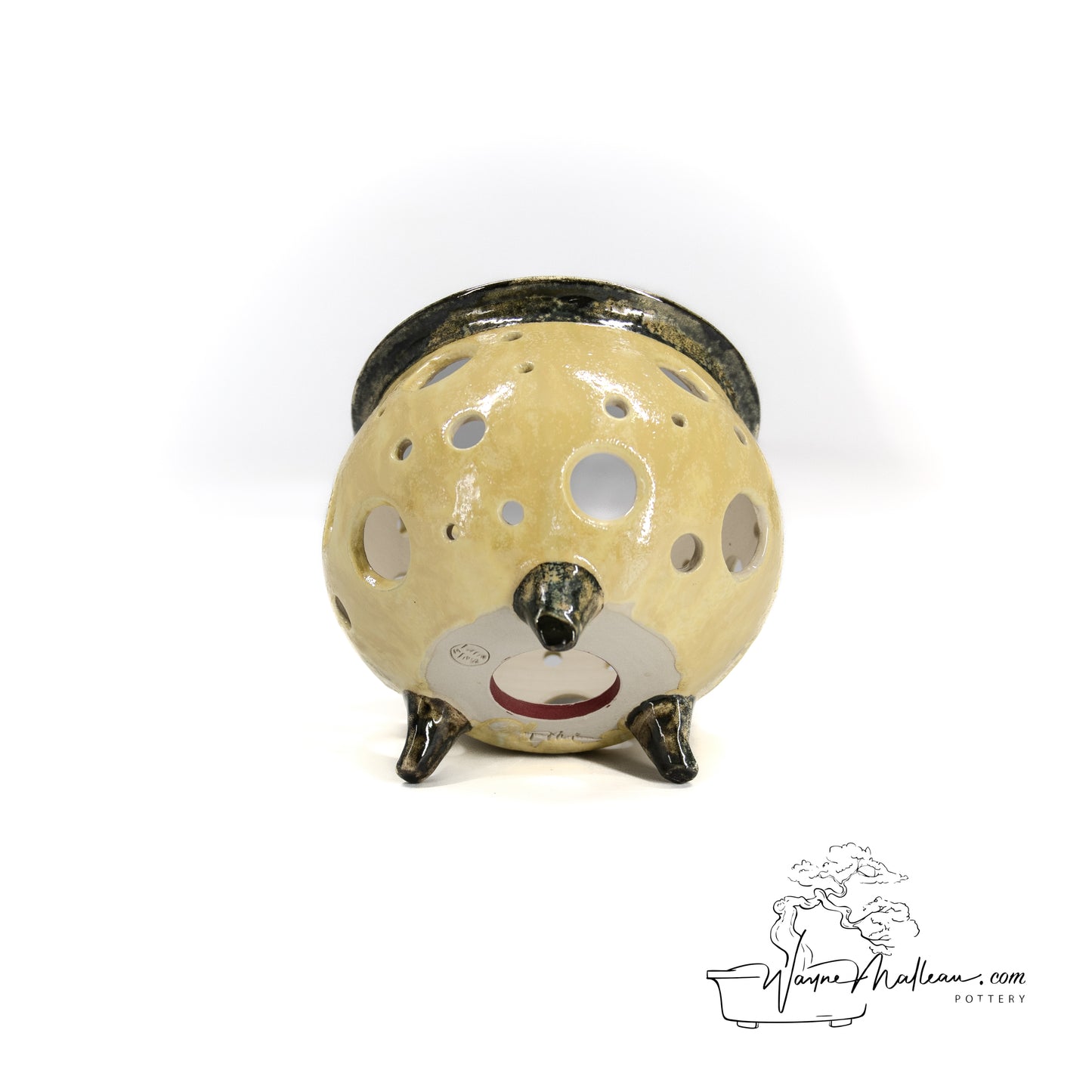 240325165 - circular orchid pot