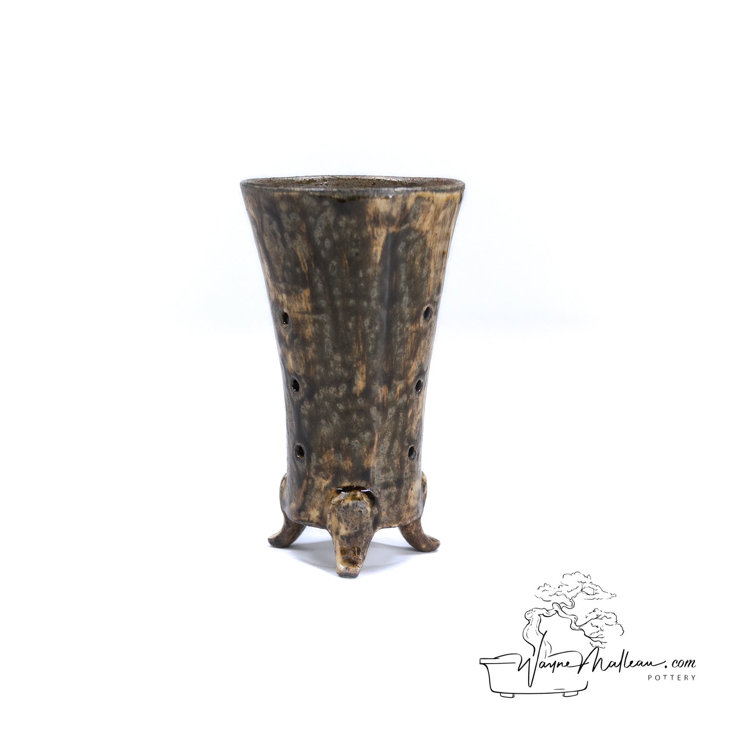 240325167 - cymbidium orchid pot