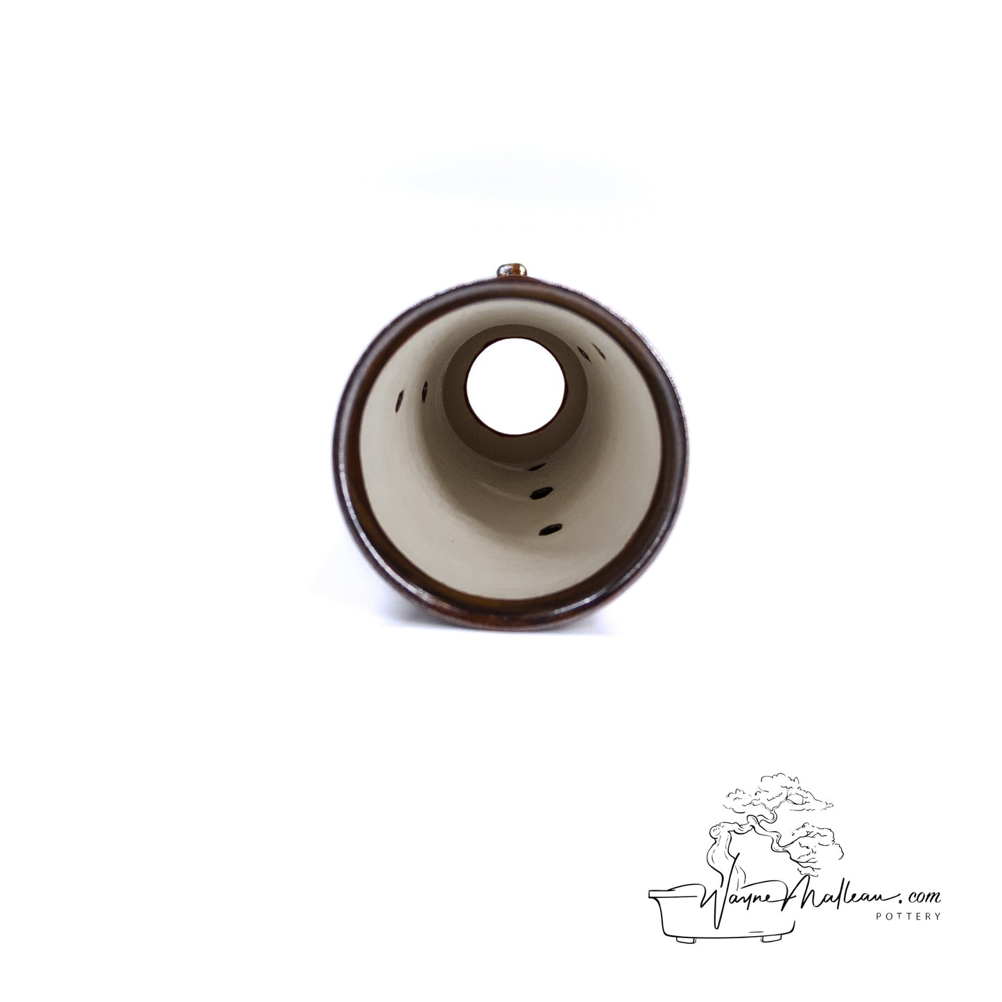 240325168 - cymbidium orchid pot