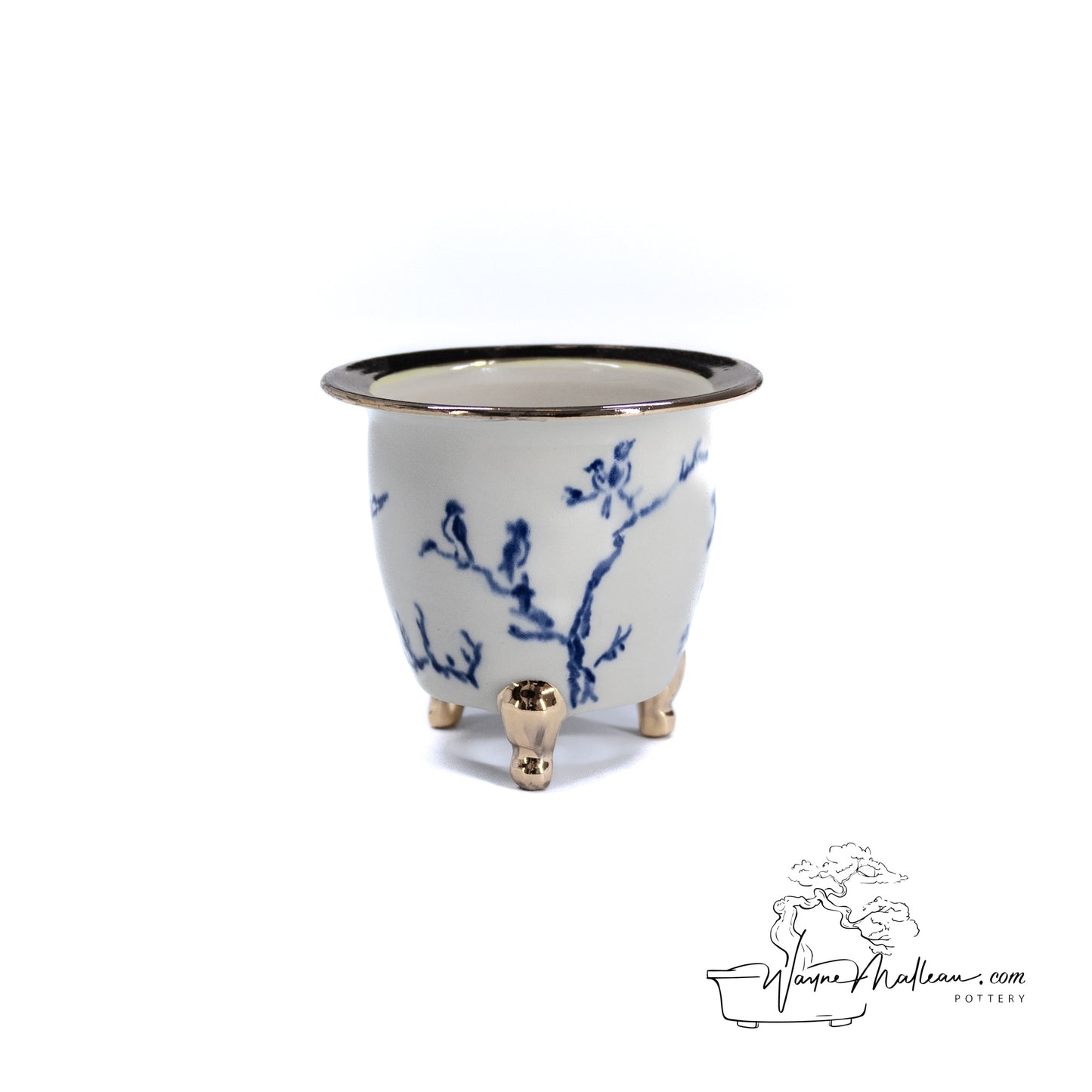 240325170 - royal accented, handpainted neofinetia orchid pot