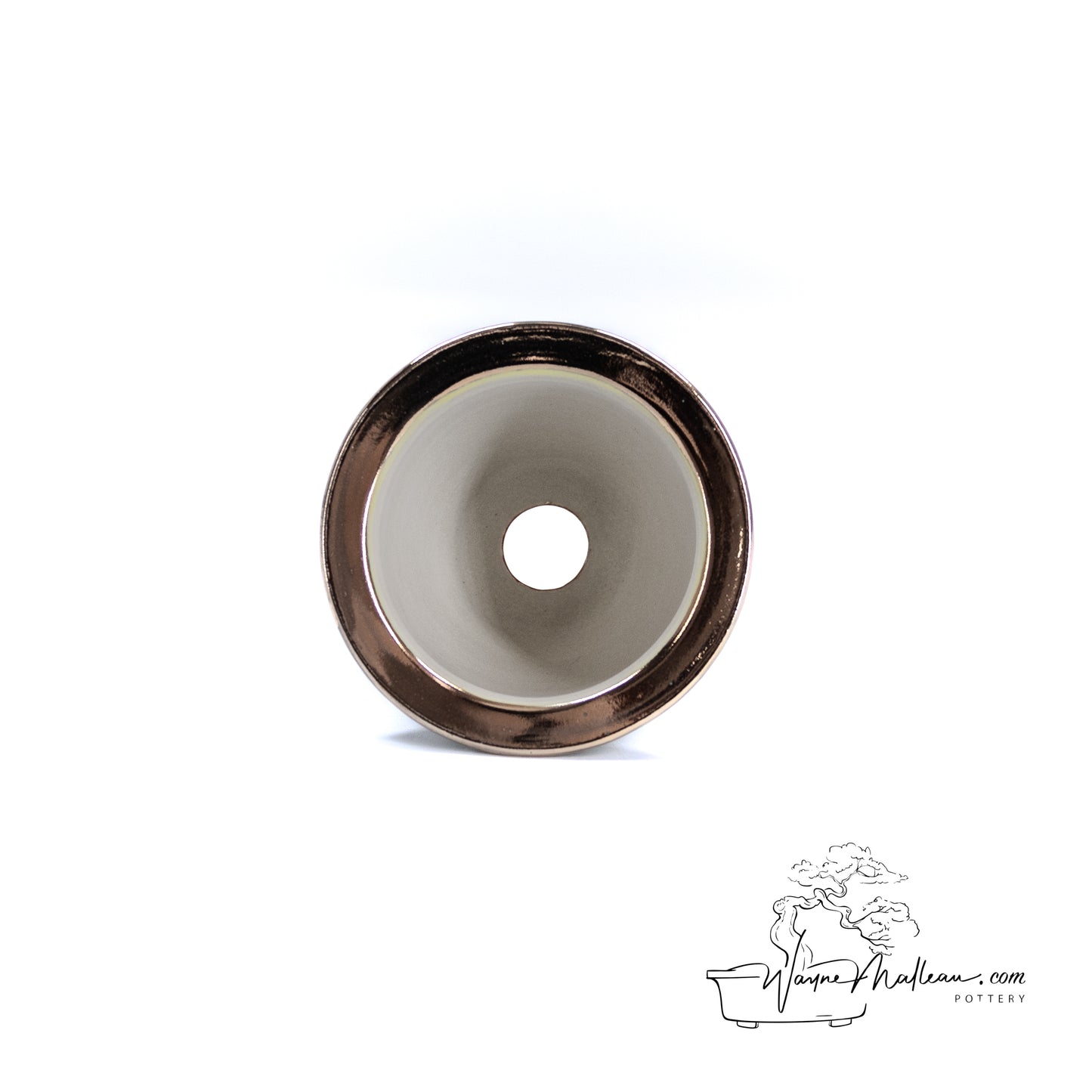 240325170 - royal accented, handpainted neofinetia orchid pot