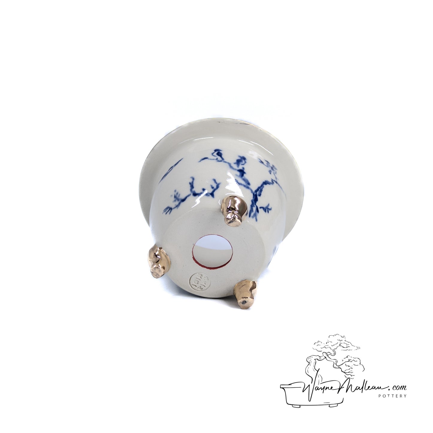 240325170 - royal accented, handpainted neofinetia orchid pot