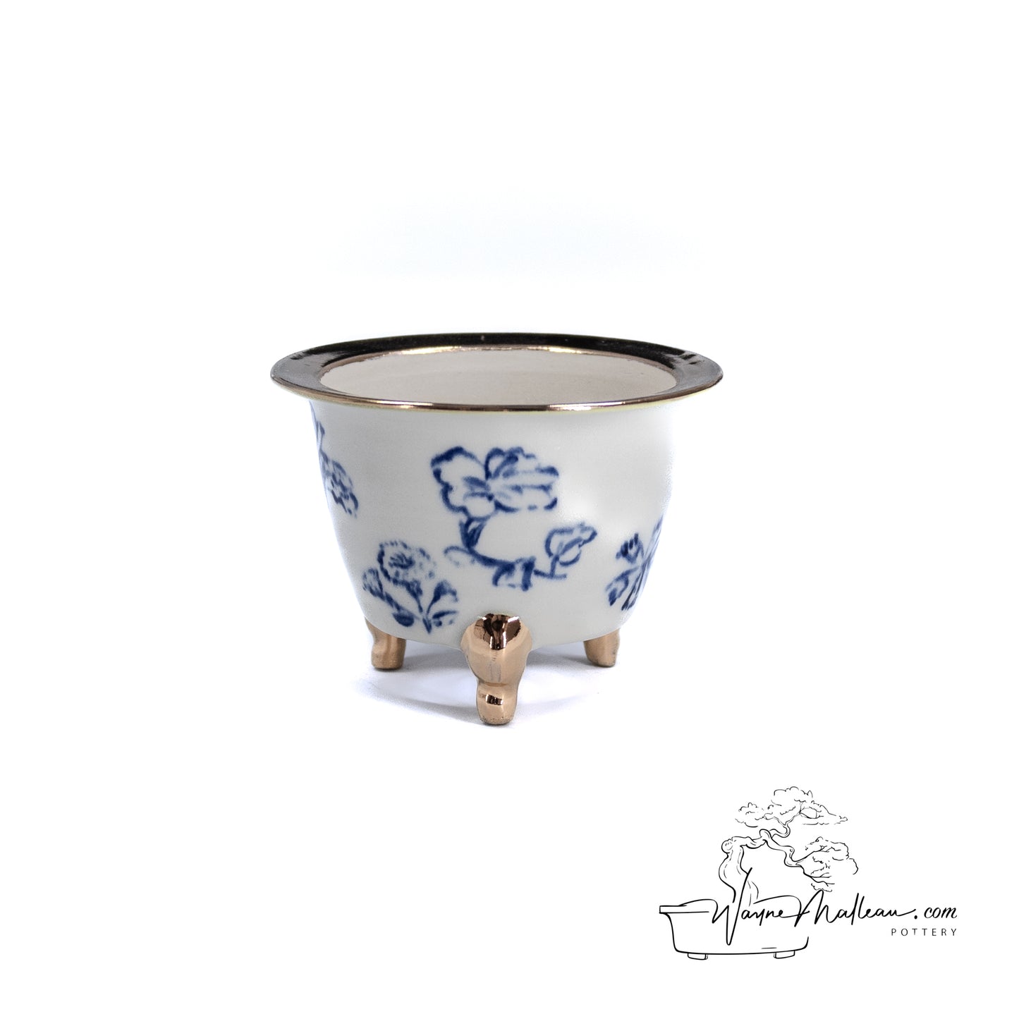 240325171 - royal accented, handpainted neofinetia orchid pot