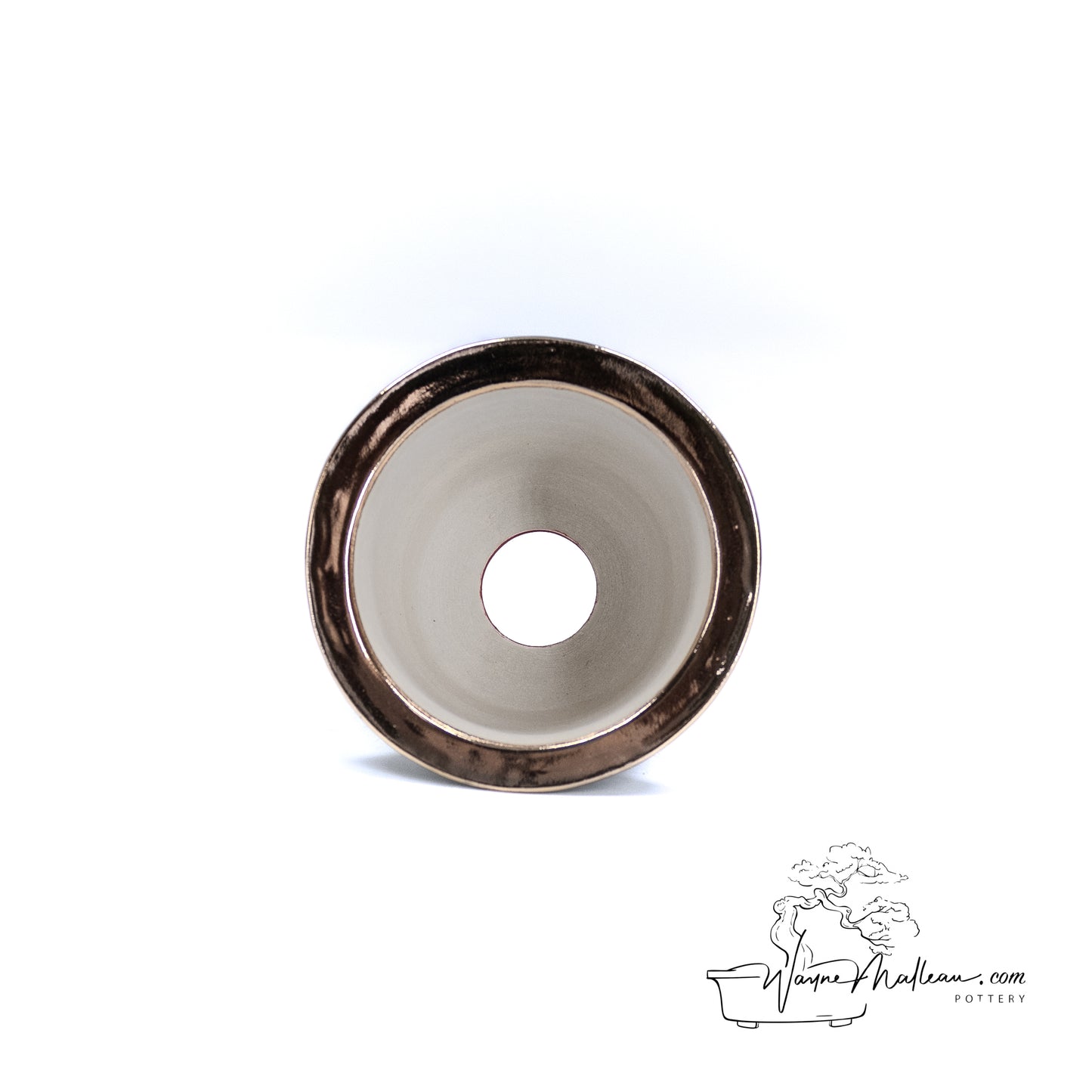 240325171 - royal accented, handpainted neofinetia orchid pot