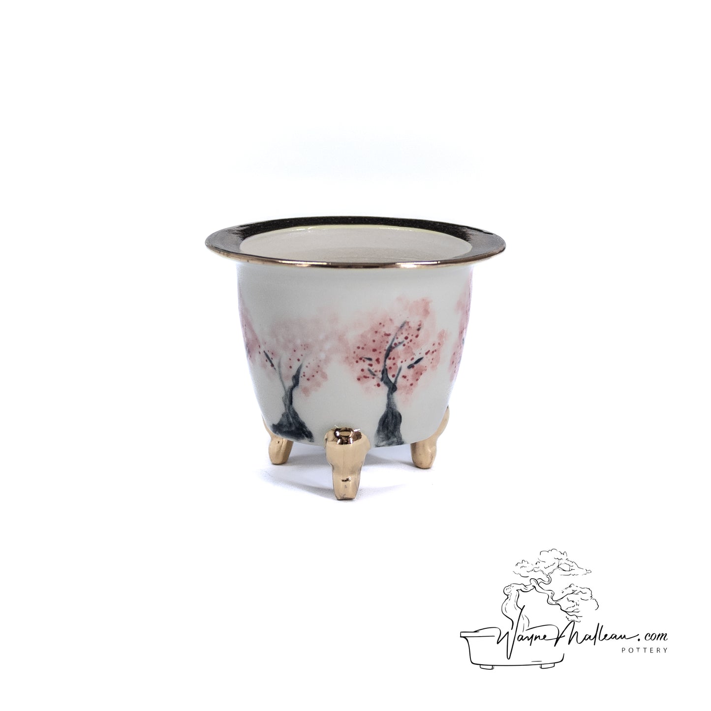 240325172 - royal accented, handpainted, neofinetia orchid pot