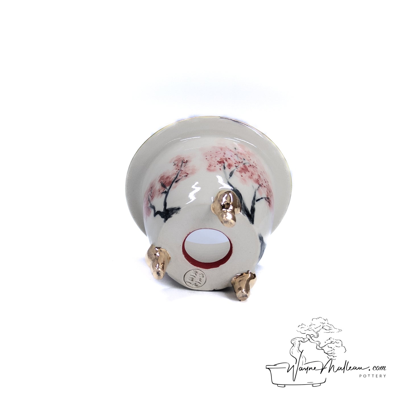 240325172 - royal accented, handpainted, neofinetia orchid pot