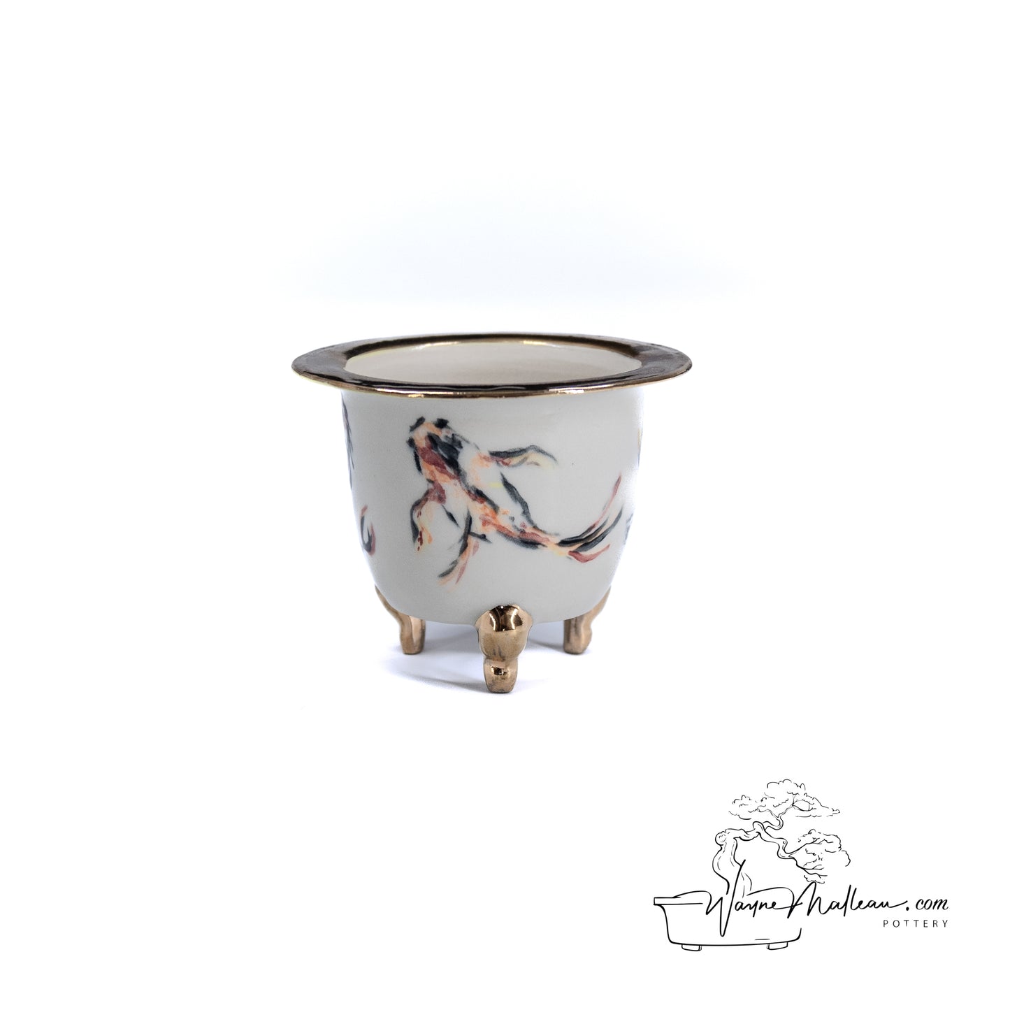 240325173 - royal accented, handpainted neofinetia orchid pot