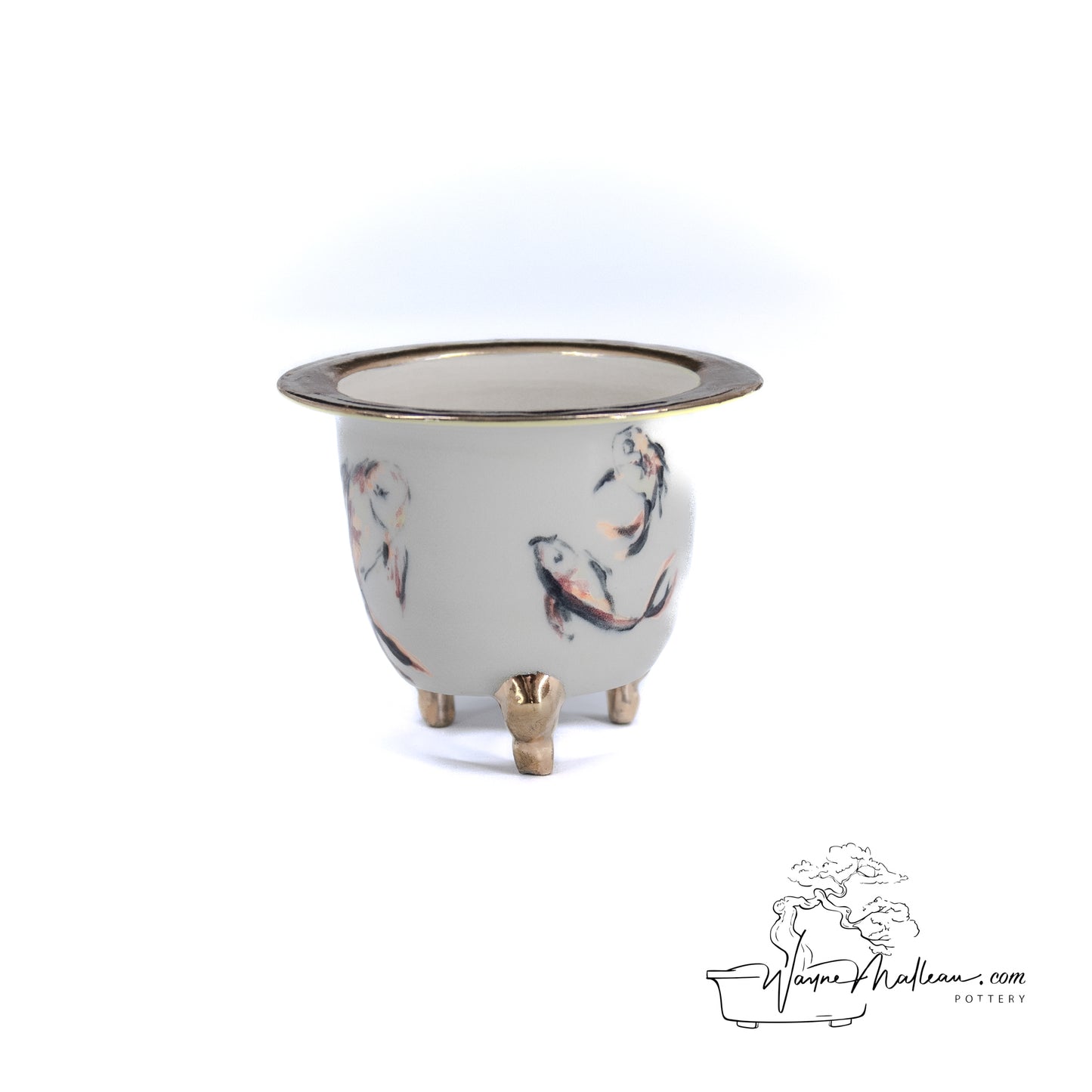 240325173 - royal accented, handpainted neofinetia orchid pot