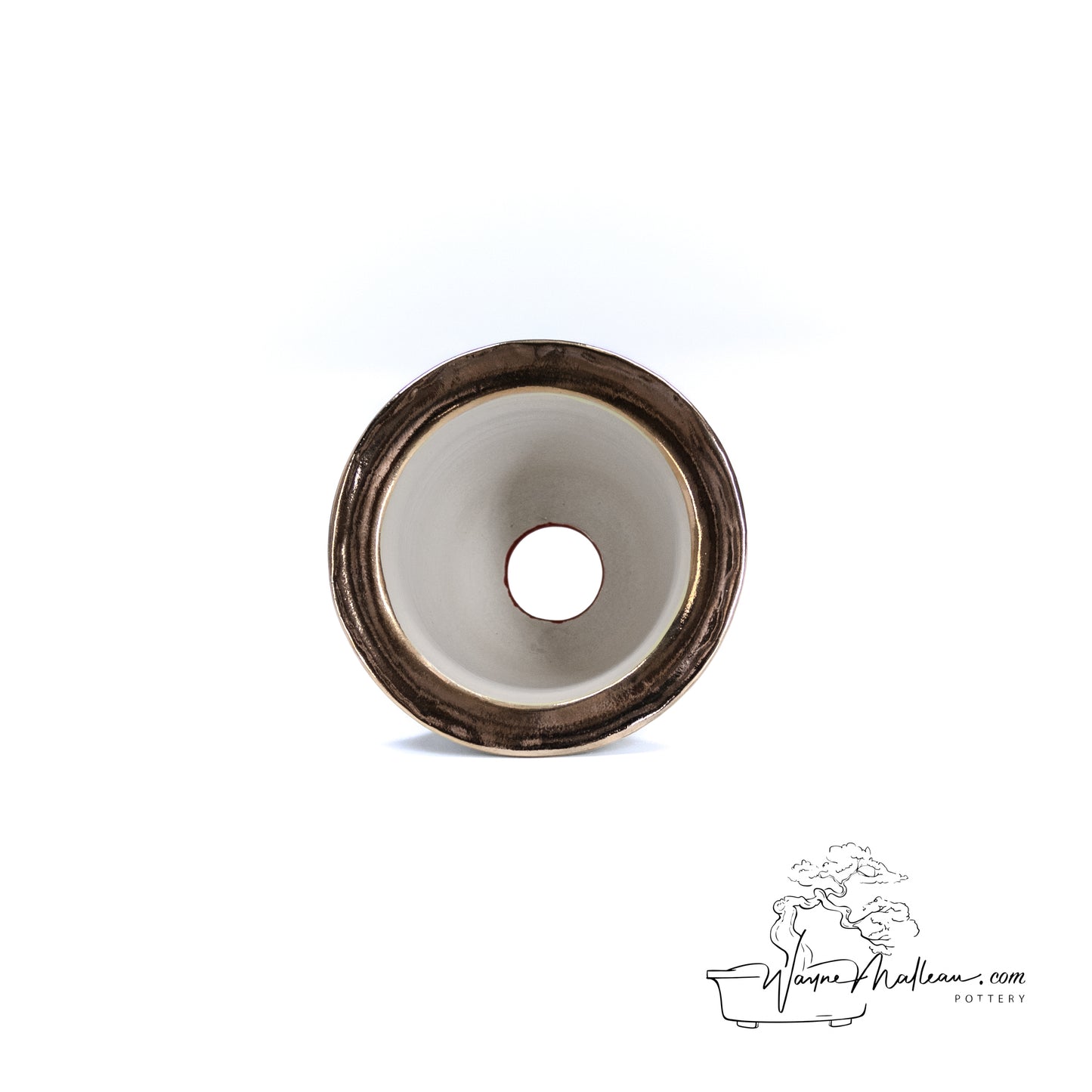 240325173 - royal accented, handpainted neofinetia orchid pot