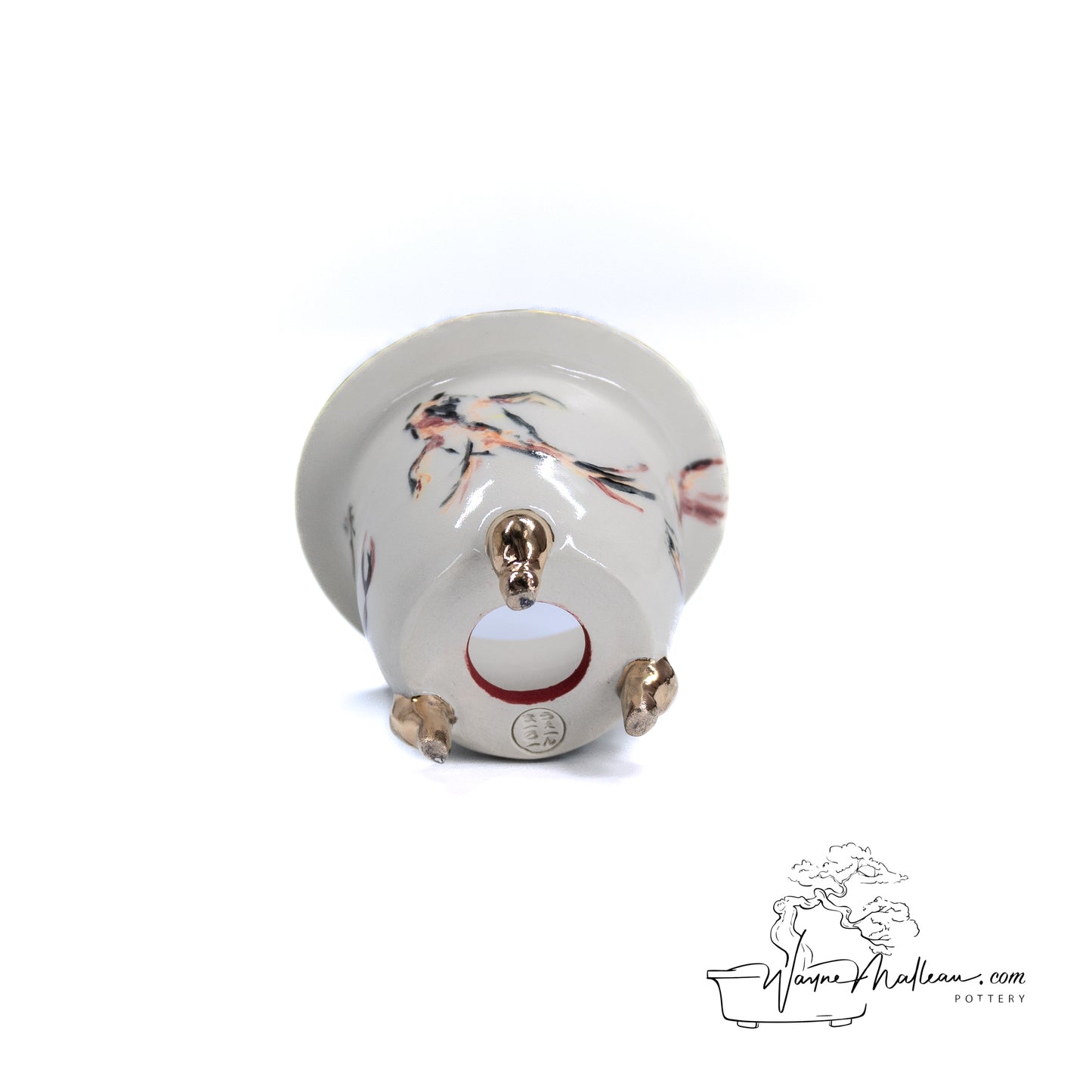 240325173 - royal accented, handpainted neofinetia orchid pot