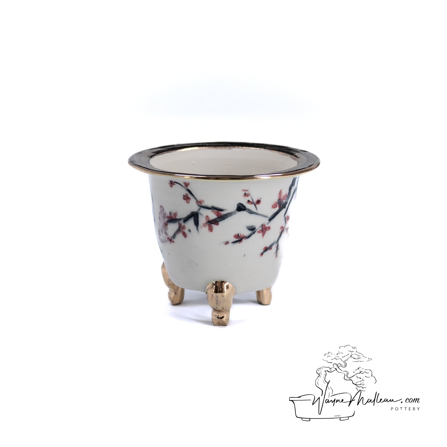 240325174 - royal accented, handpainted neofinetia orchid pot