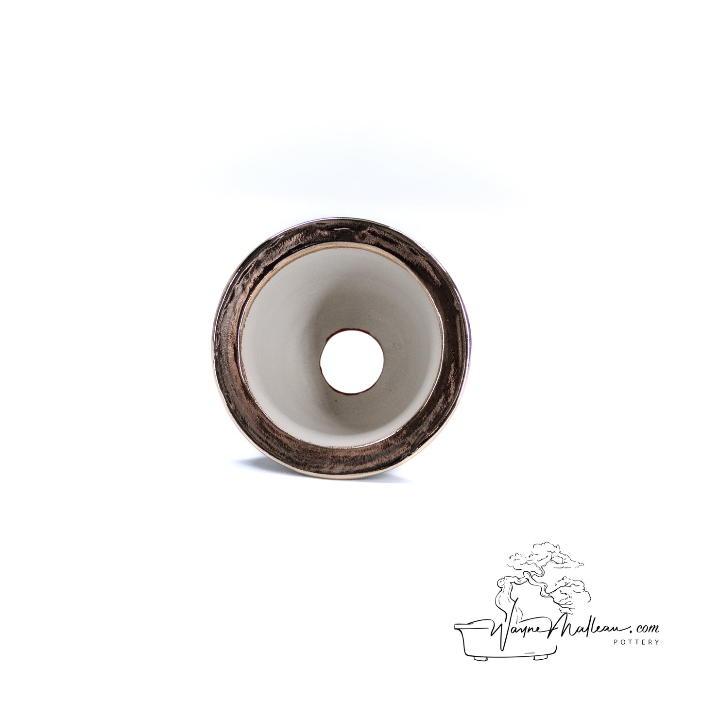 240325174 - royal accented, handpainted neofinetia orchid pot