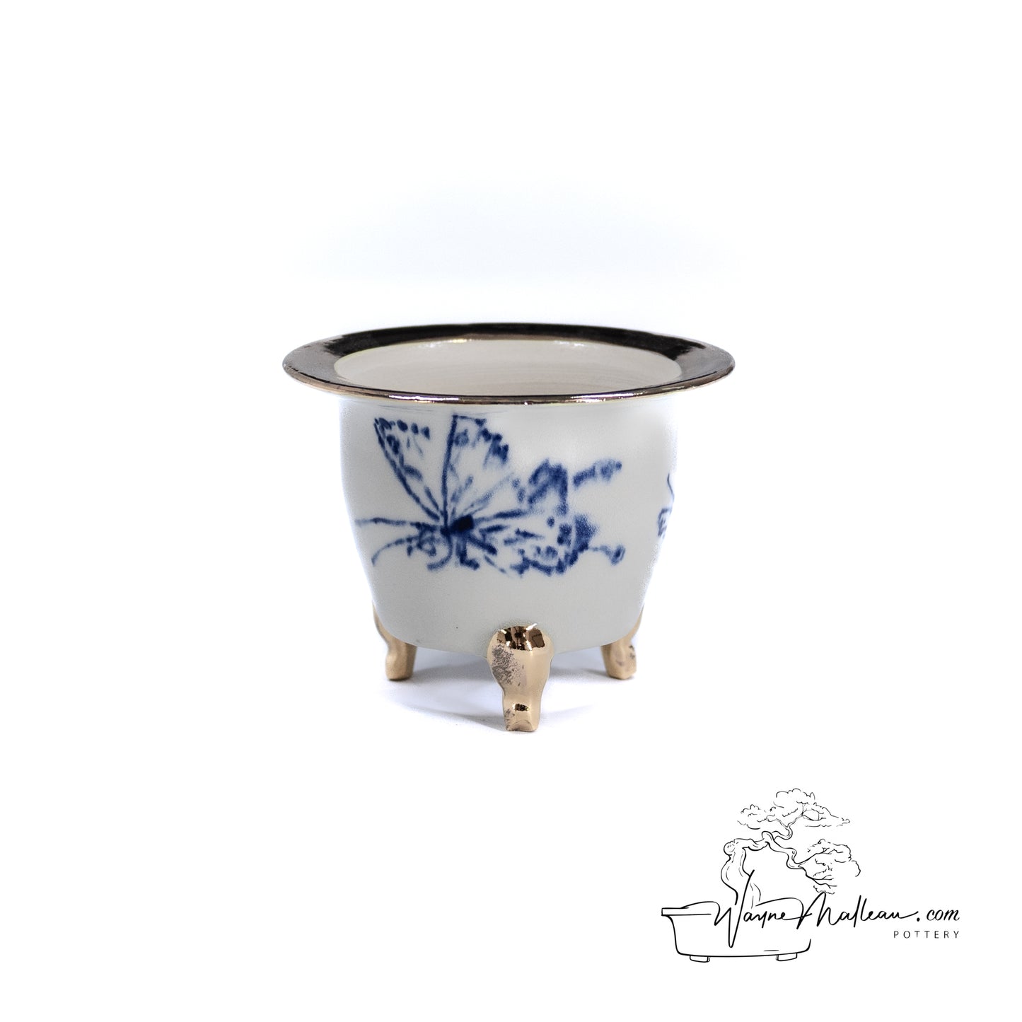 240325175 - royal accented, handpainted neofinetia orchid pot