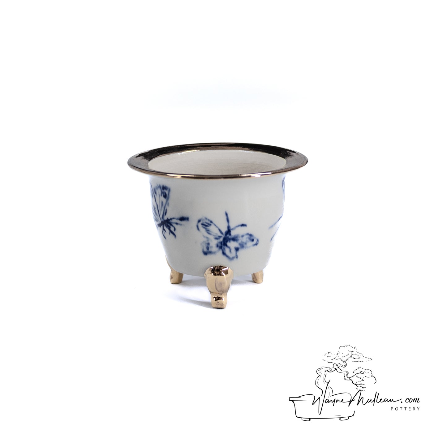 240325175 - royal accented, handpainted neofinetia orchid pot