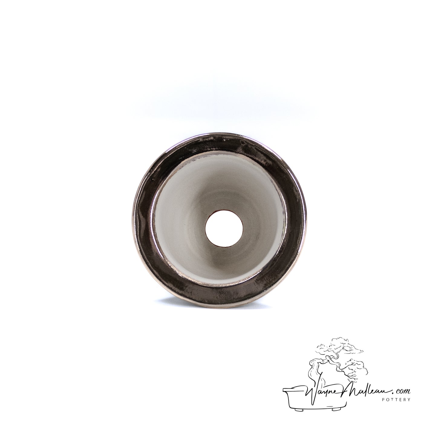 240325176 - royal accented, handpainted neofinetia orchid pot