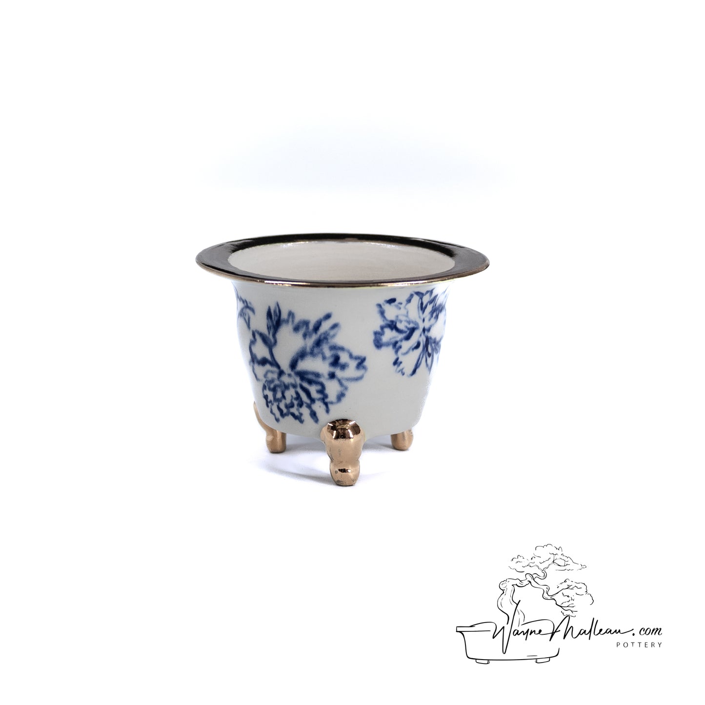 240306139 - royal accented, handpainted neofinetia orchid pot