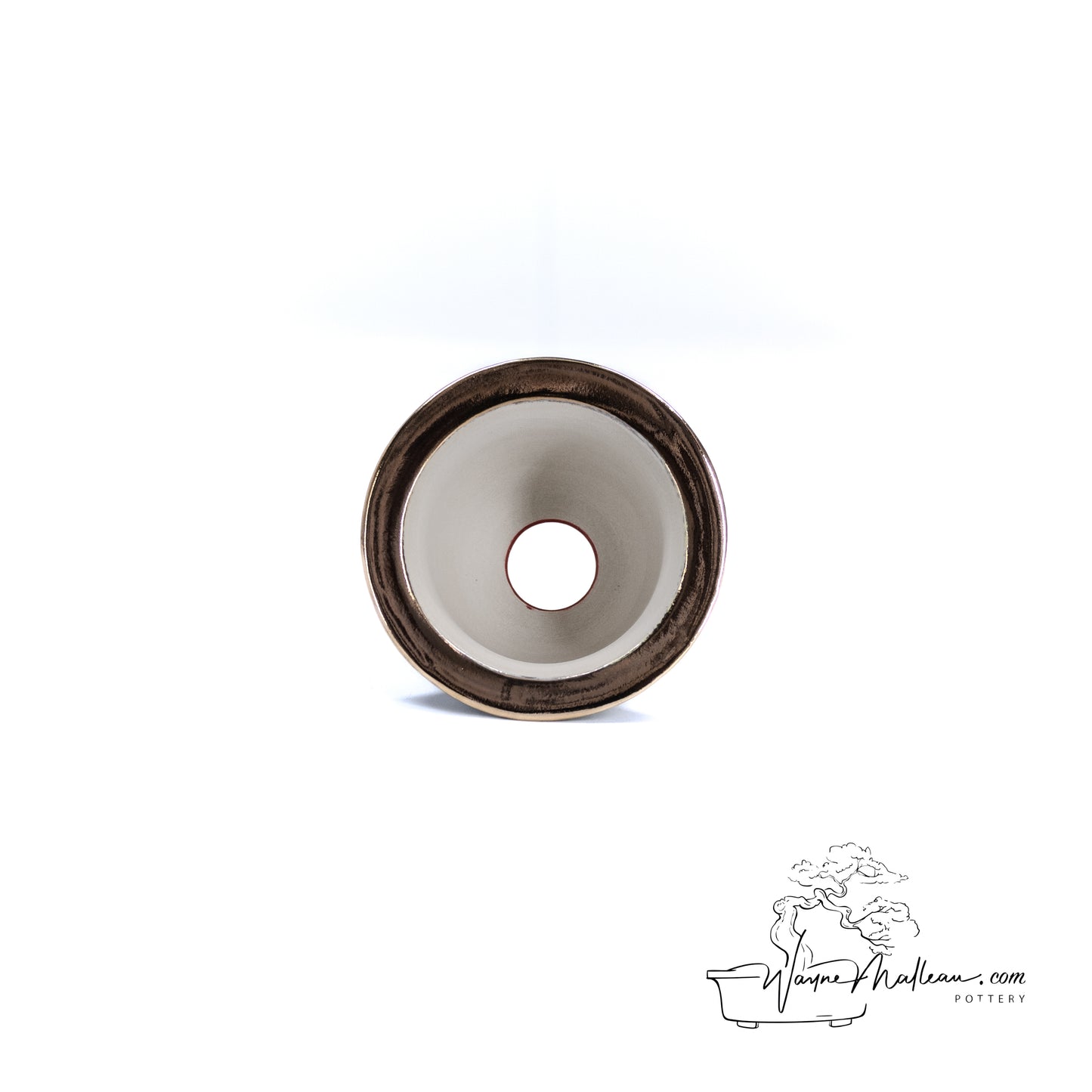 240306139 - royal accented, handpainted neofinetia orchid pot