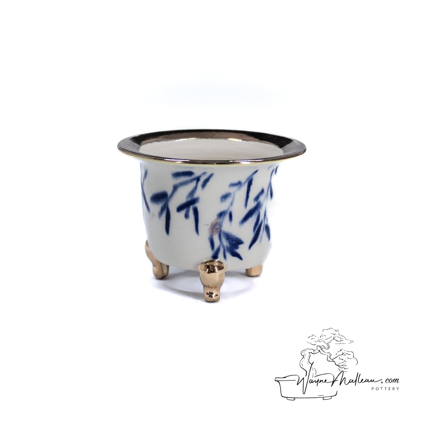240215114 - royal accented, handpainted neofinetia orchid pot