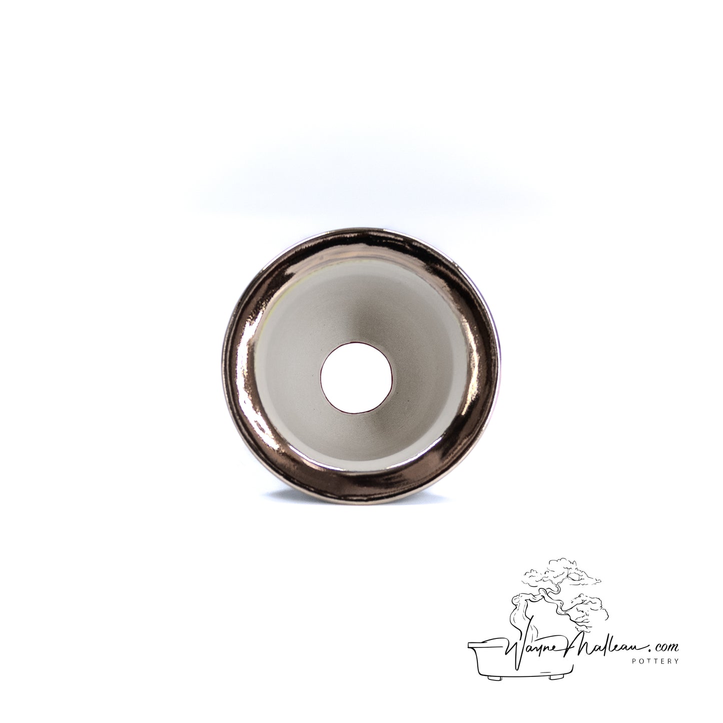 240215114 - royal accented, handpainted neofinetia orchid pot