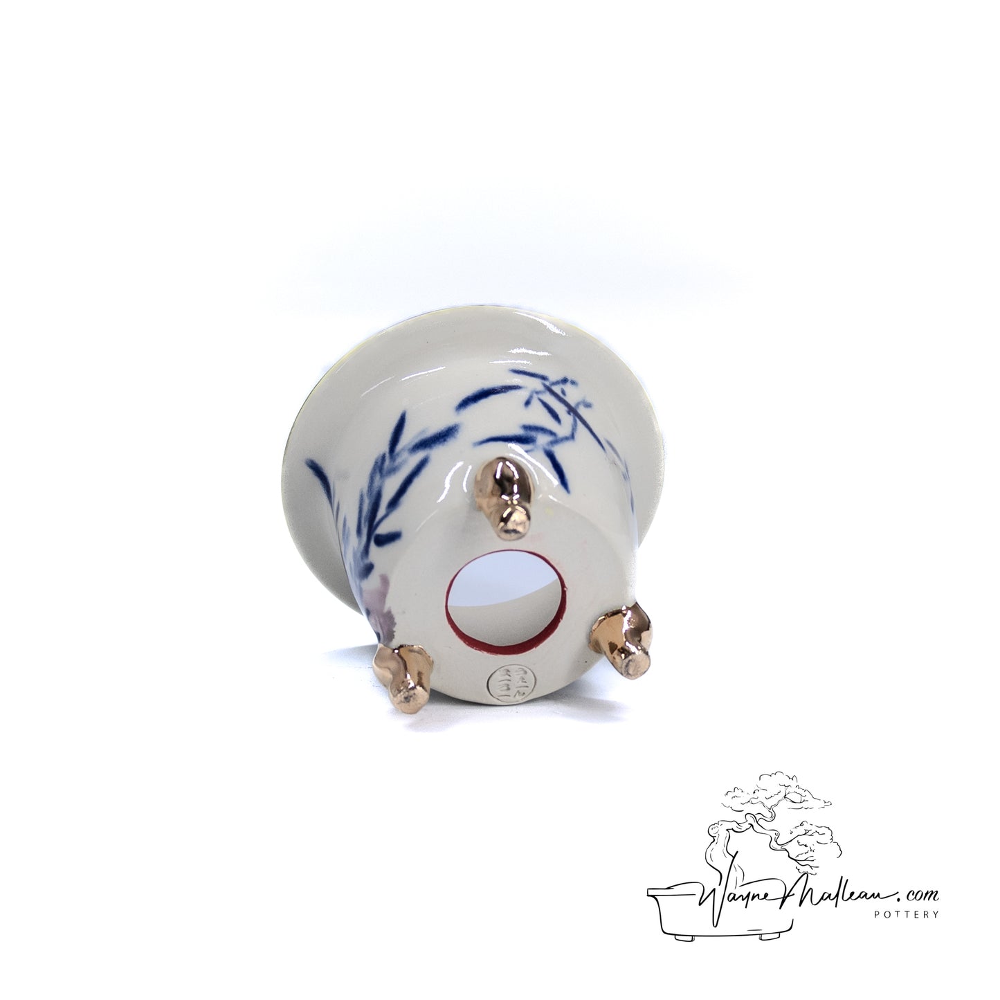 240215114 - royal accented, handpainted neofinetia orchid pot
