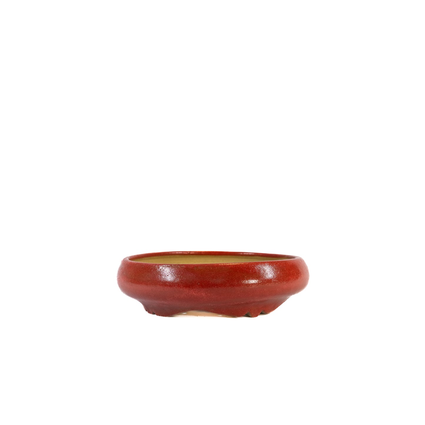 240516208 - wheel thrown bonsai pot