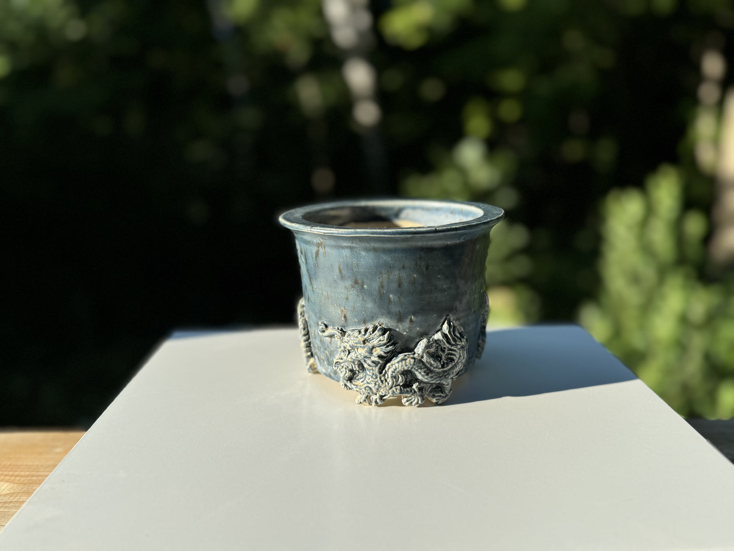 240823259 - circular orchid pot