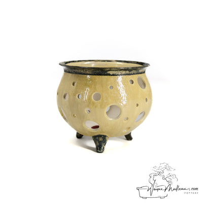 240325165 - circular orchid pot
