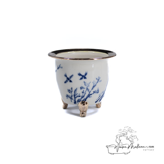 240325170 - royal accented, handpainted neofinetia orchid pot