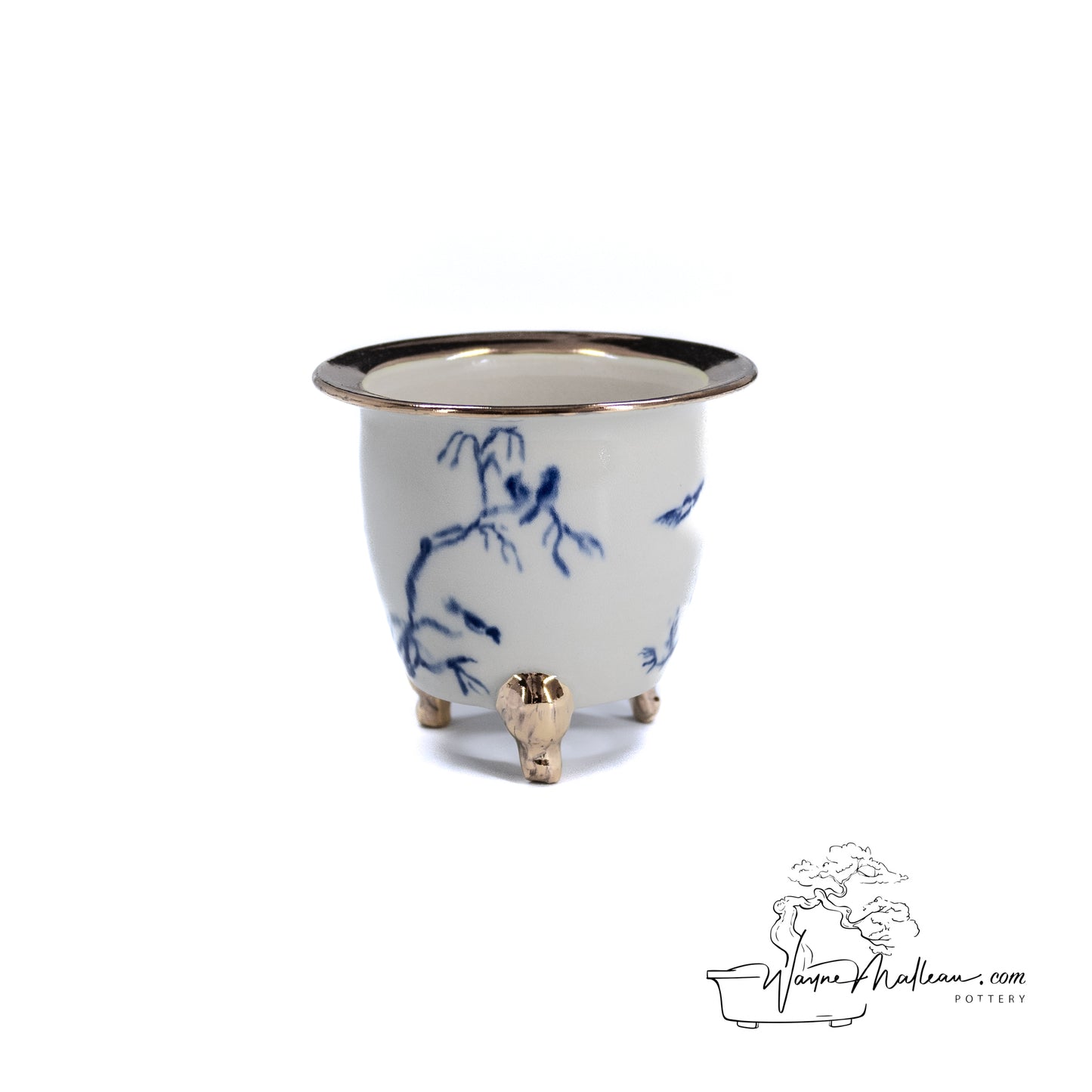 240325170 - royal accented, handpainted neofinetia orchid pot