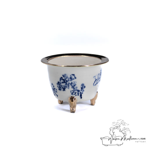 240325171 - royal accented, handpainted neofinetia orchid pot