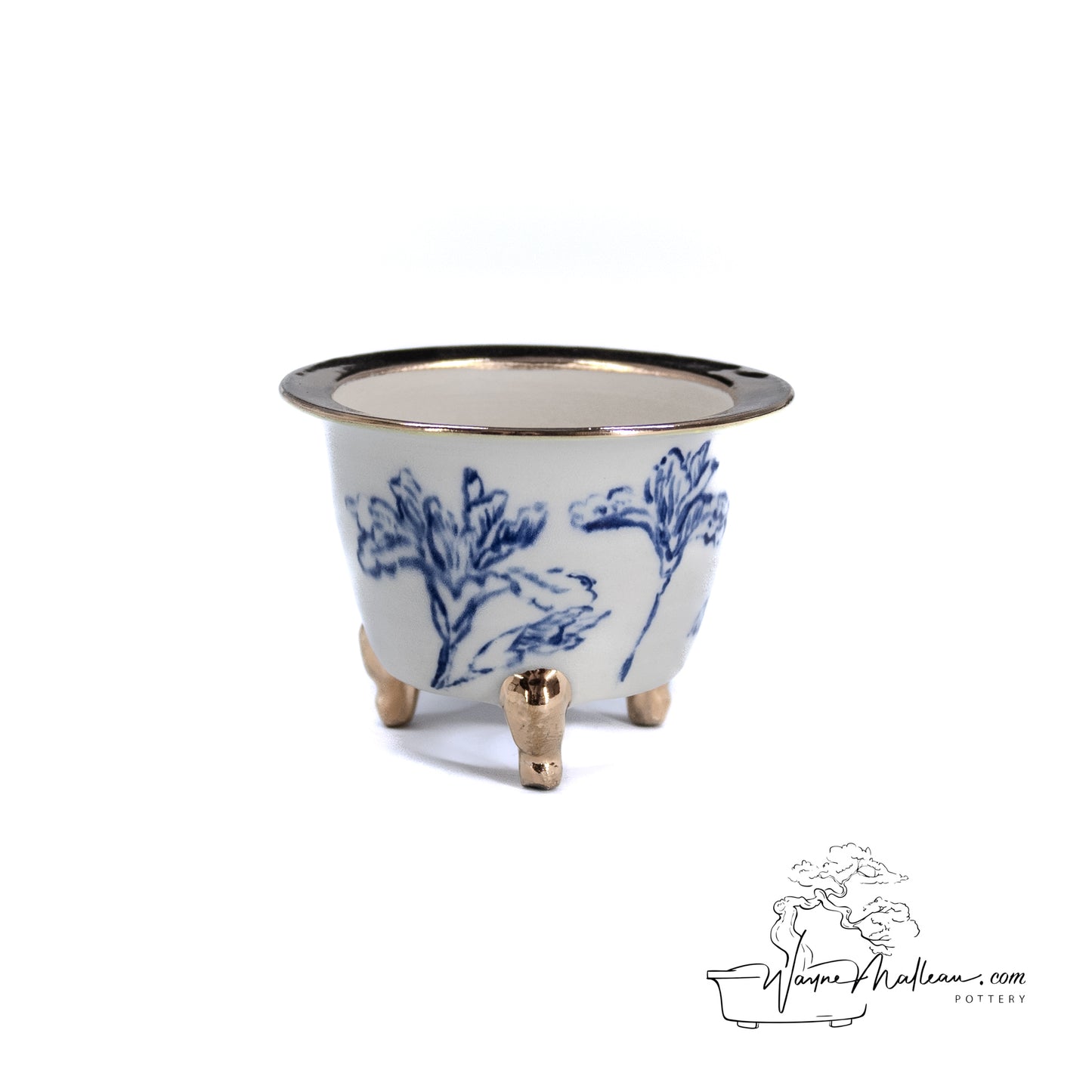 240325171 - royal accented, handpainted neofinetia orchid pot