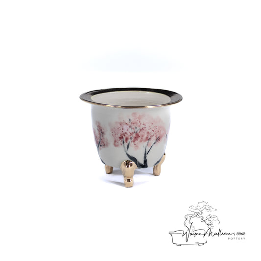 240325172 - royal accented, handpainted, neofinetia orchid pot