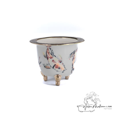 240325173 - royal accented, handpainted neofinetia orchid pot