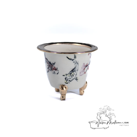 240325174 - royal accented, handpainted neofinetia orchid pot
