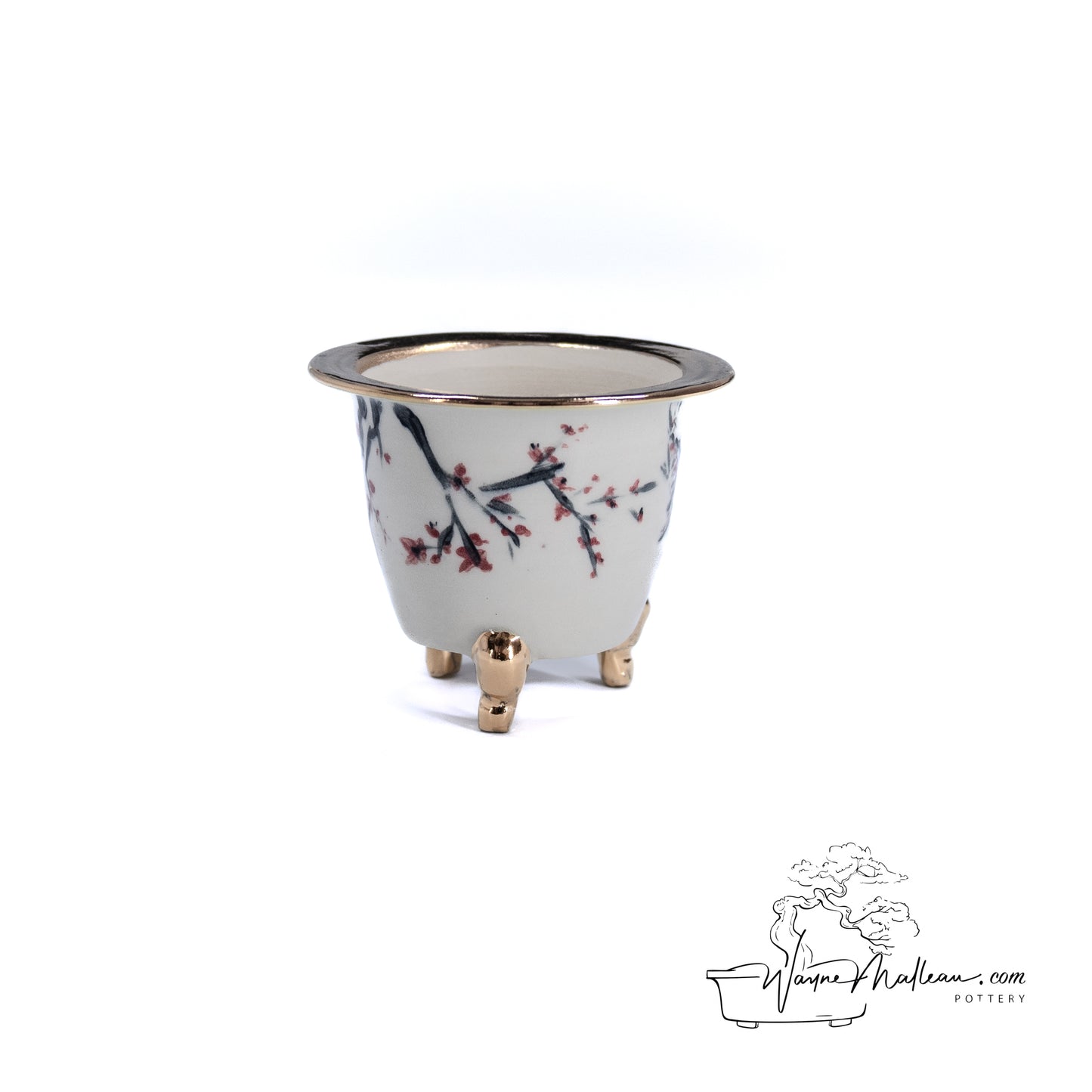 240325174 - royal accented, handpainted neofinetia orchid pot