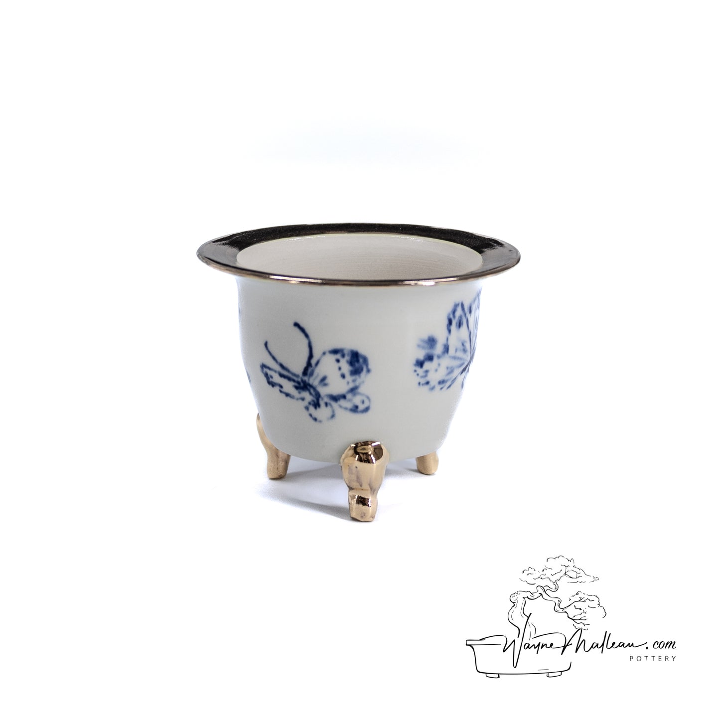 240325175 - royal accented, handpainted neofinetia orchid pot