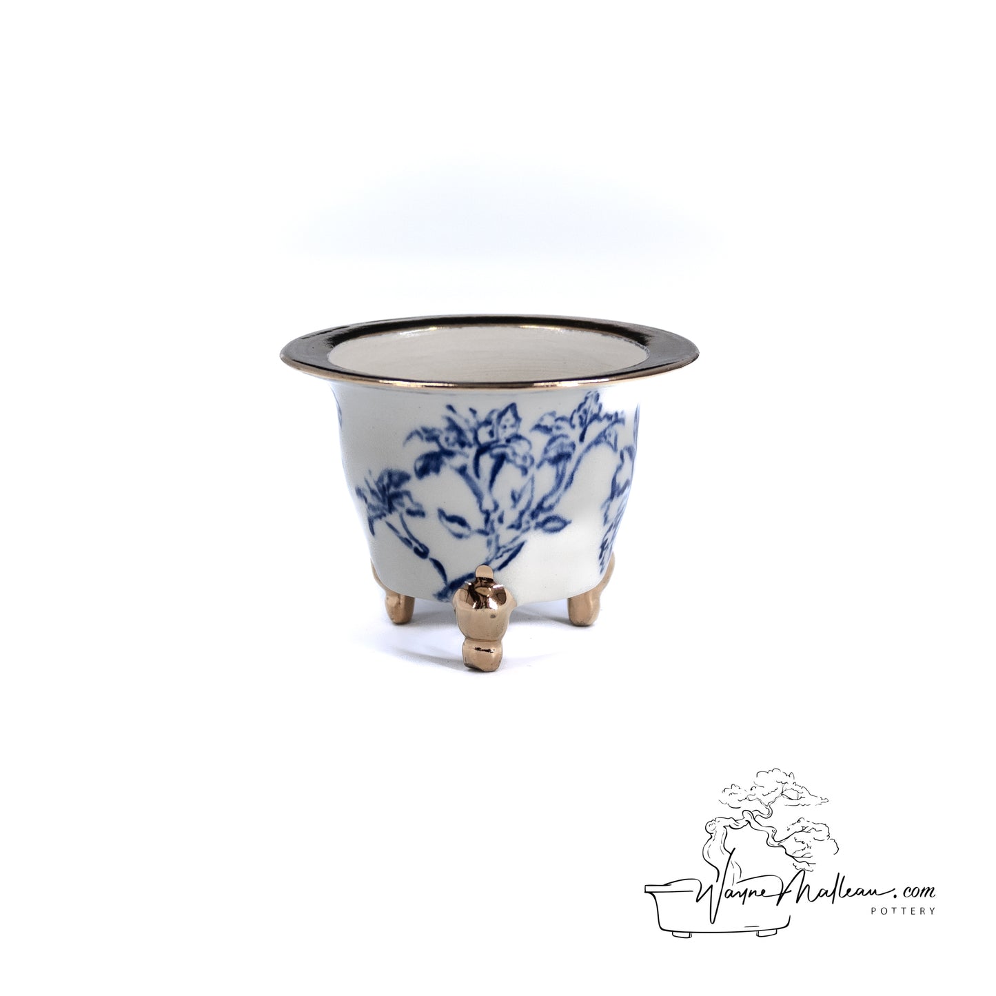 240306139 - royal accented, handpainted neofinetia orchid pot
