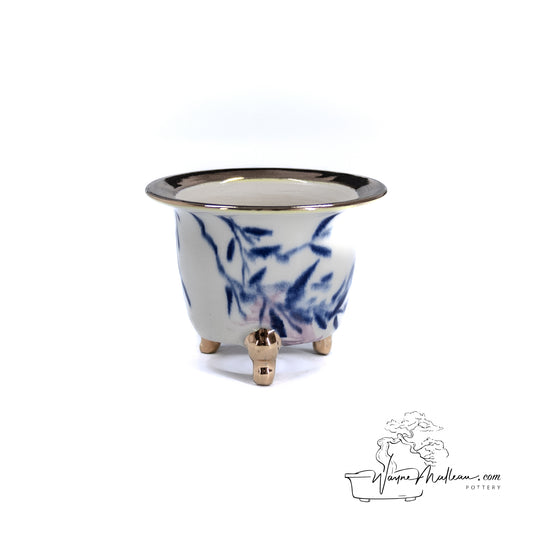 240215114 - royal accented, handpainted neofinetia orchid pot