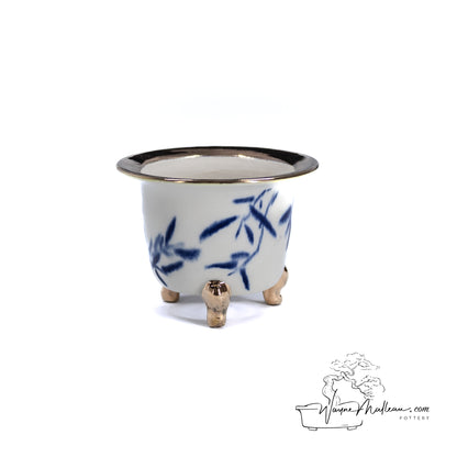 240215114 - royal accented, handpainted neofinetia orchid pot