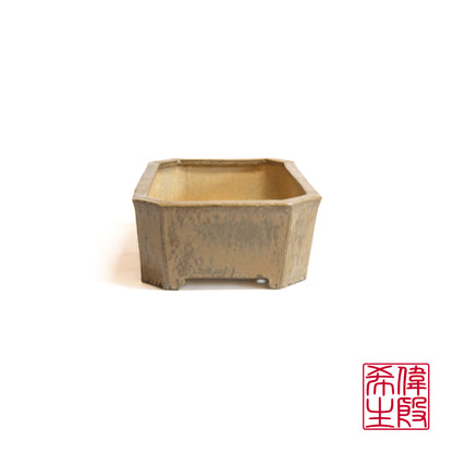 241008299 -  60th Anniversary Collection - slab built bonsai pot