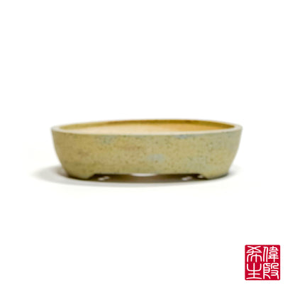 240823262 - oval bonsai pot