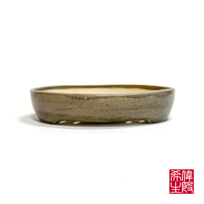 240823264 - oval bonsai pot