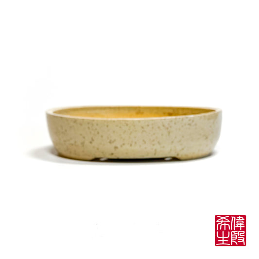 240823263 - oval bonsai pot